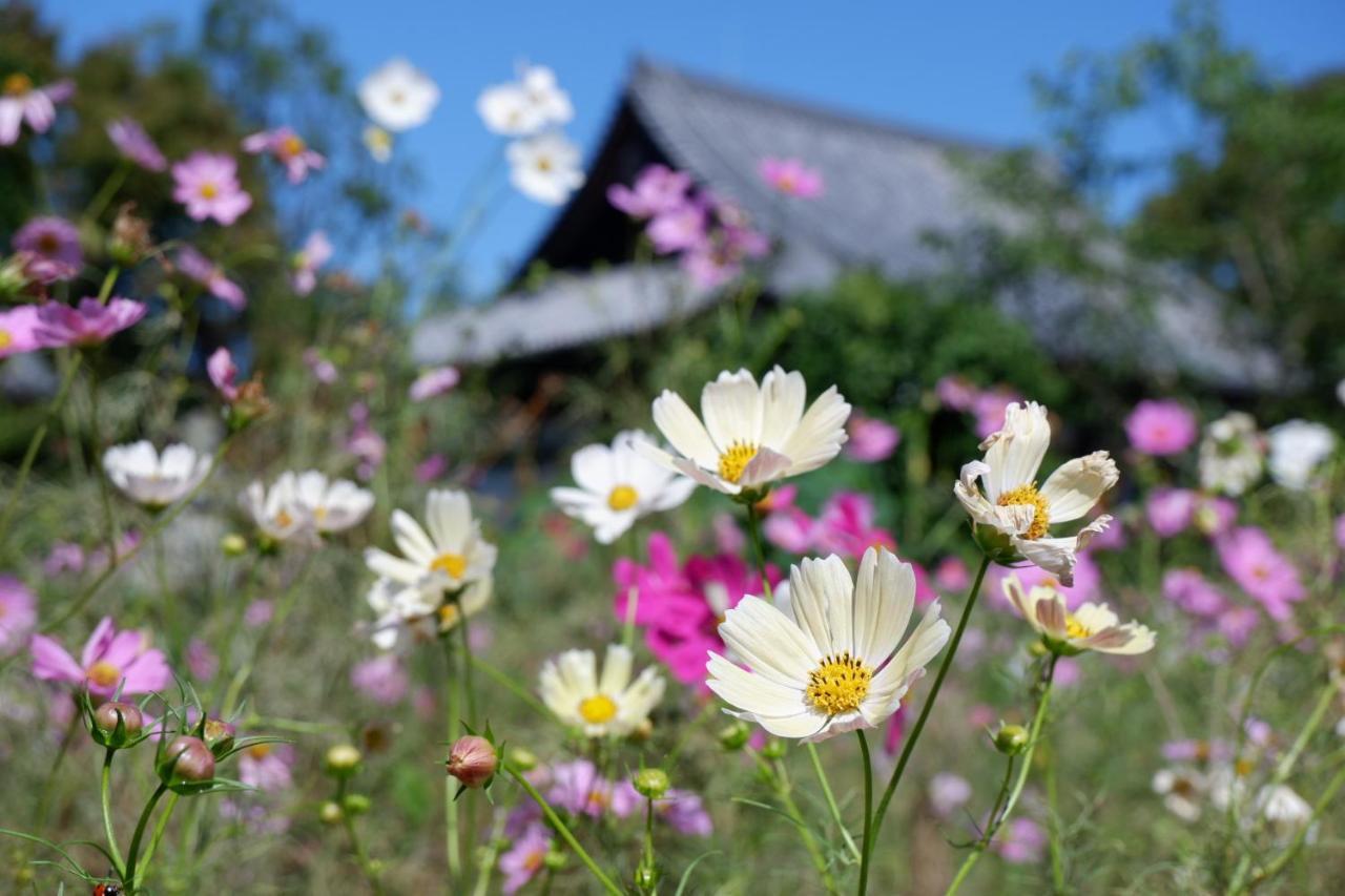Noborioji Hotel Nara Eksteriør bilde